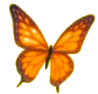 Schmetterling, Seelenparadies Oberberg